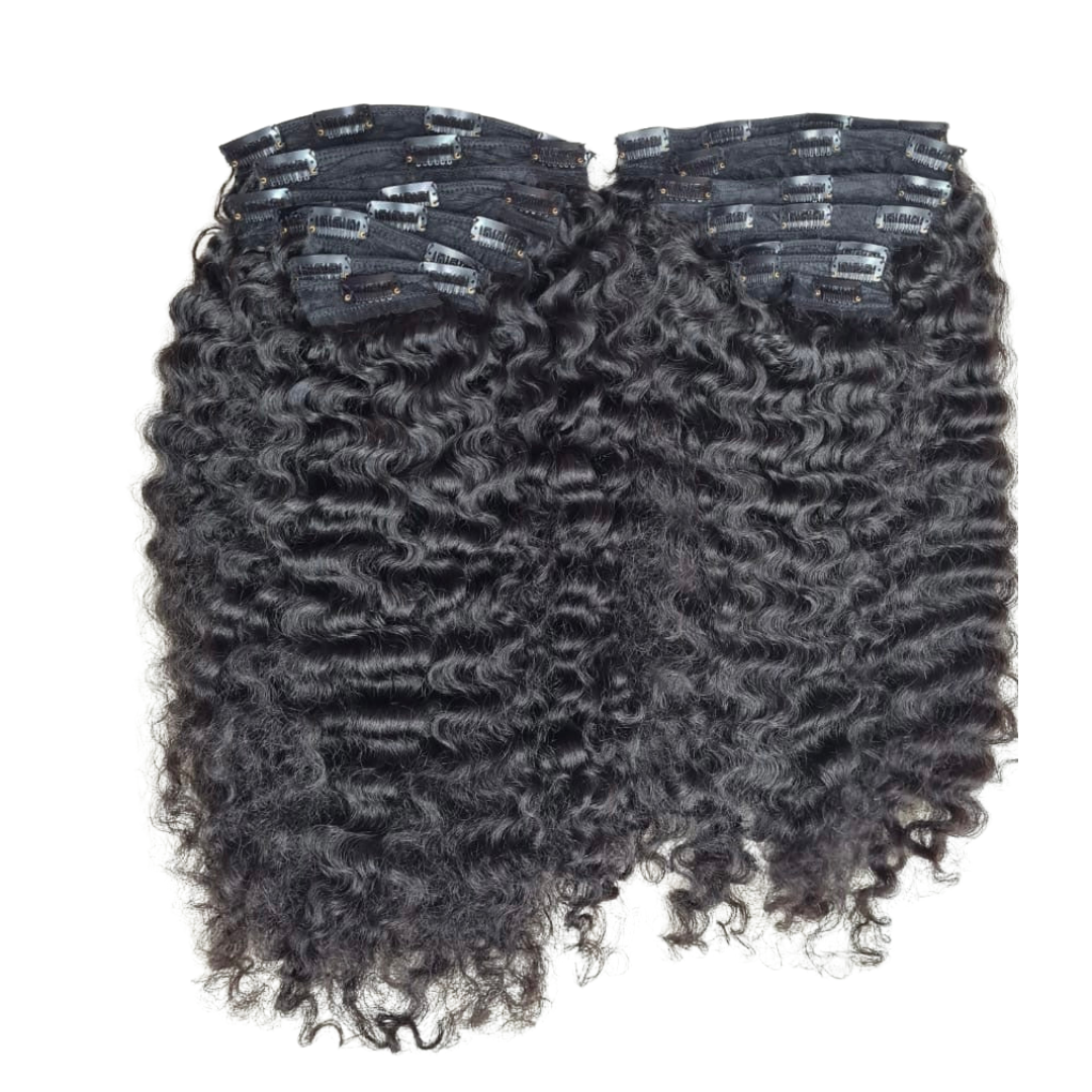 RAW CAMBODIAN HAIR CLIP-IN EXTENSIONS (COLORED)